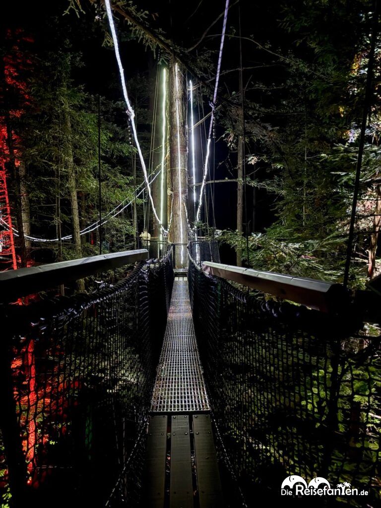 Redwoods Treewalk Rotorua (20)