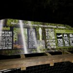 Redwoods Treewalk Rotorua (21)