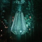Redwoods Treewalk Rotorua (3)