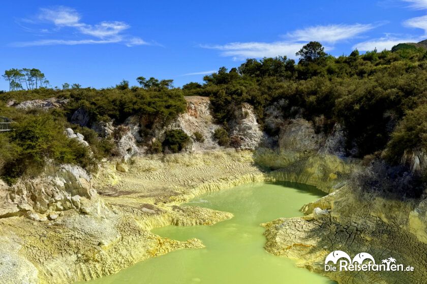 Wai O Tapu (1)