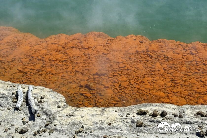 Wai O Tapu (10)