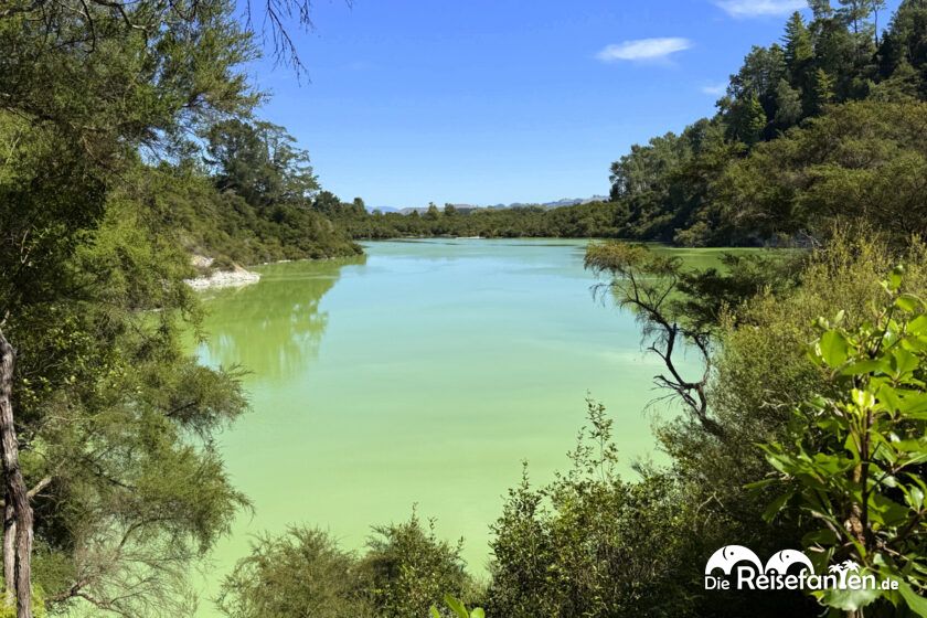 Wai O Tapu (14)