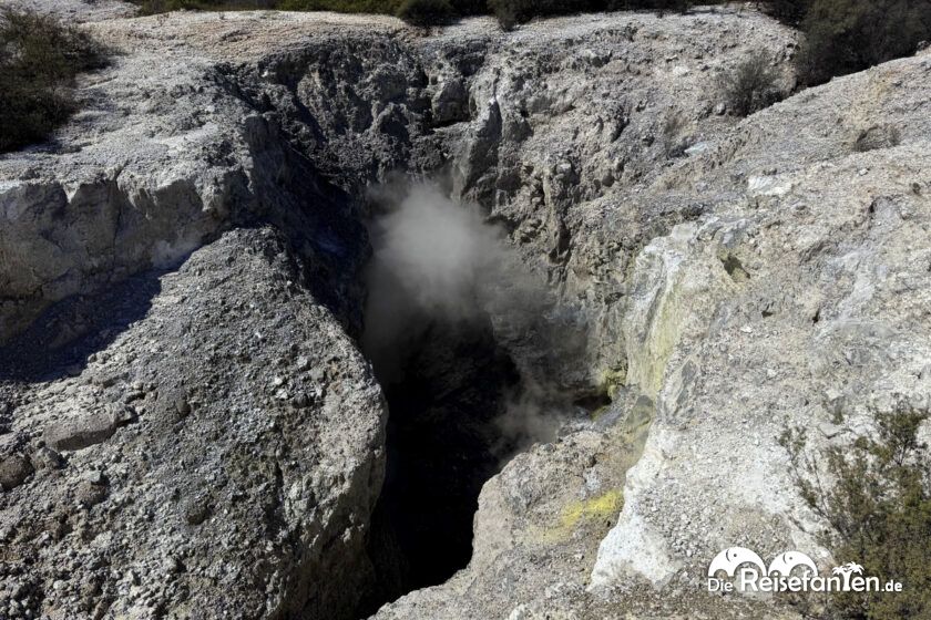 Wai O Tapu (16)