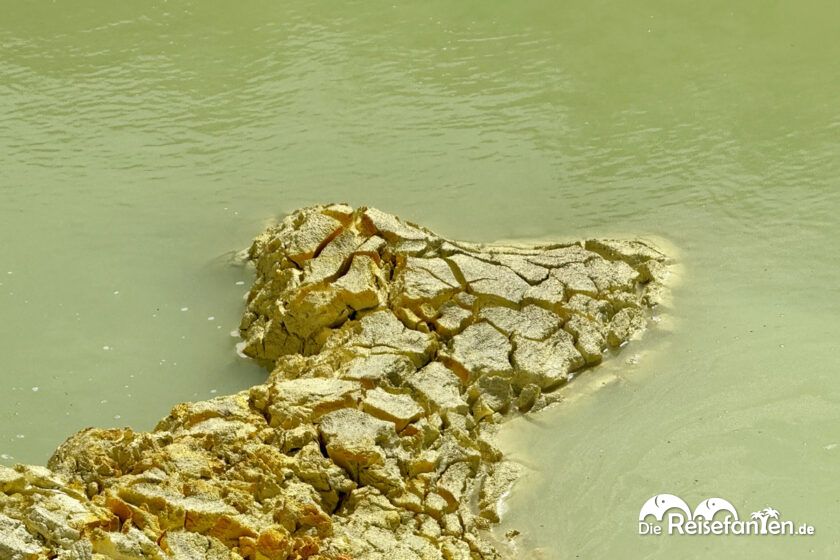 Wai O Tapu (17)