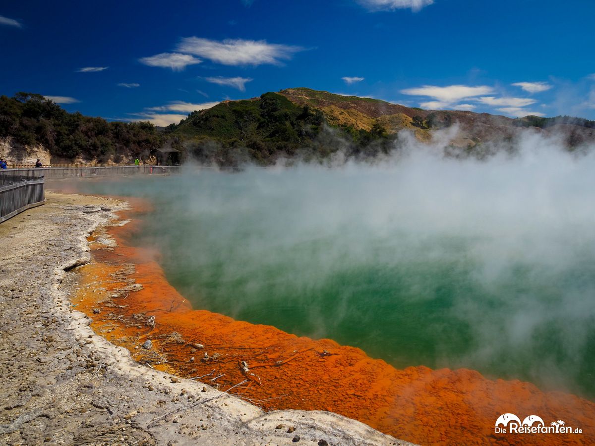 Wai O Tapu (2)