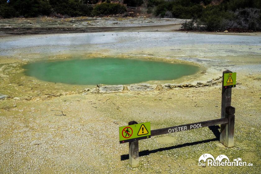 Wai O Tapu (3)