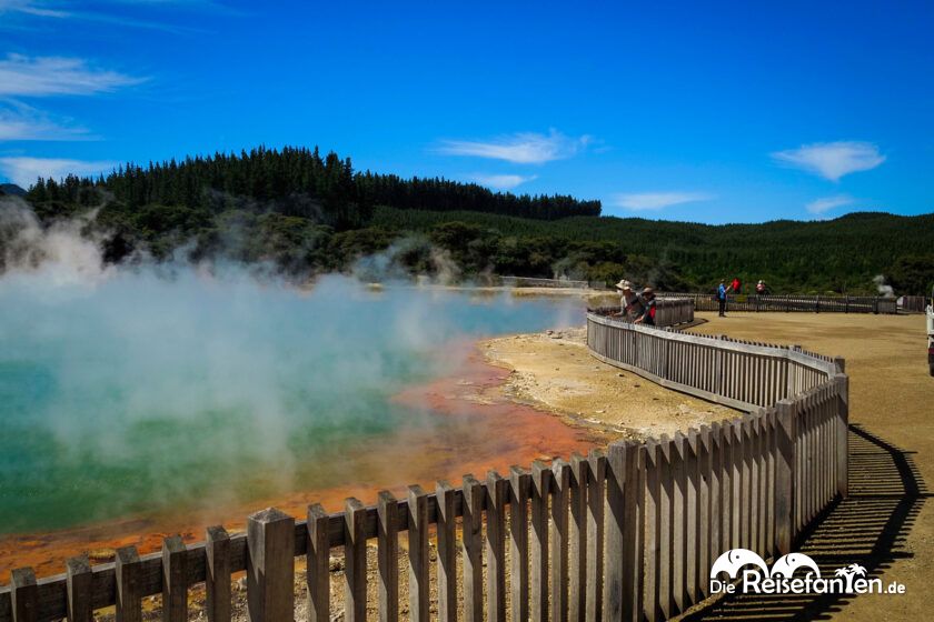 Wai O Tapu (4)
