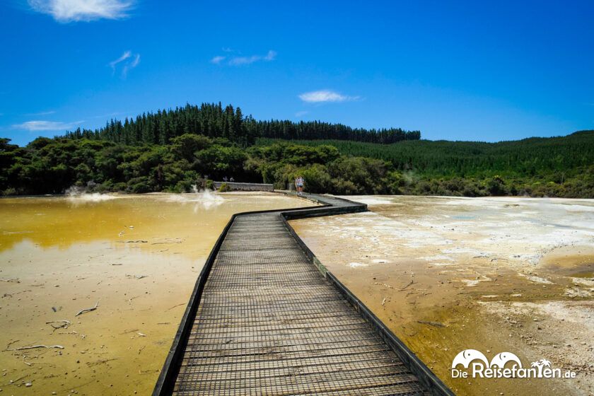 Wai O Tapu (5)