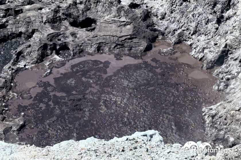 Wai O Tapu (7)