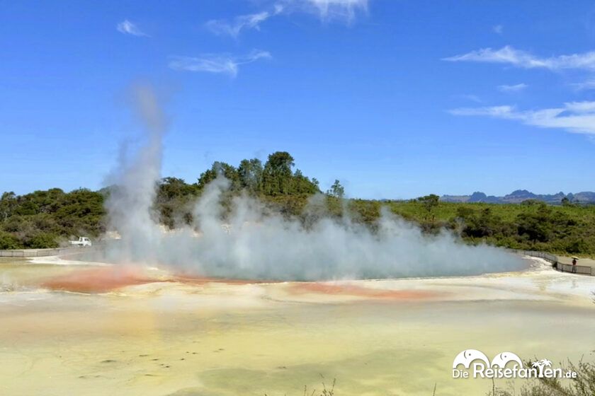 Wai O Tapu (8)