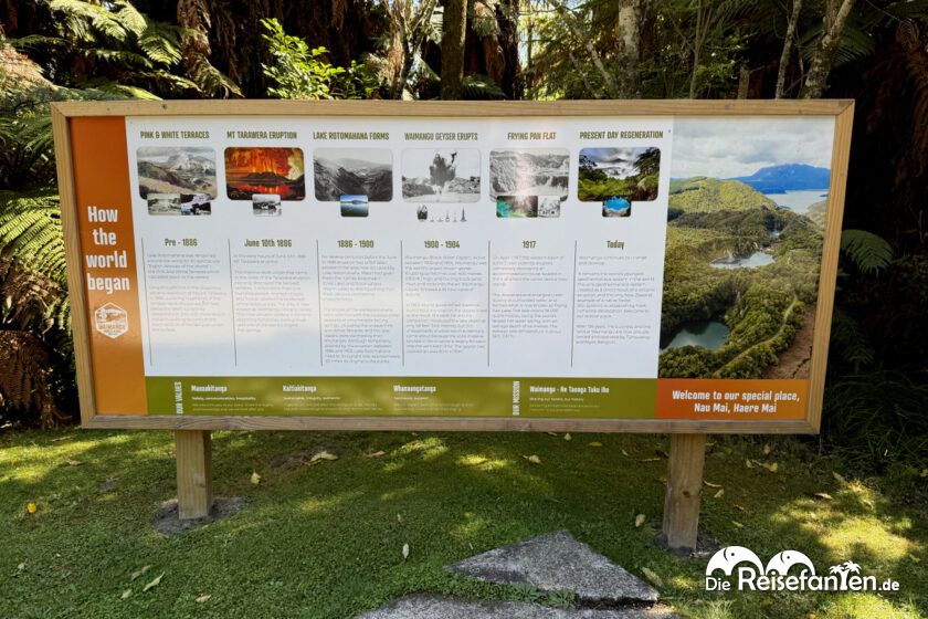 Waimangu Volcanic Valley (13)