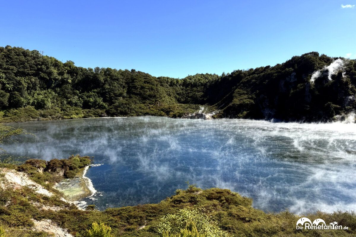 Waimangu Volcanic Valley (16)