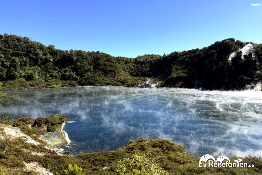 Waimangu Volcanic Valley (16)
