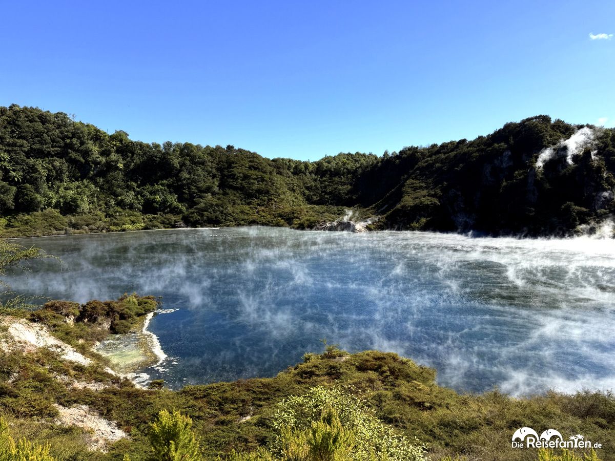 Waimangu Volcanic Valley (16)