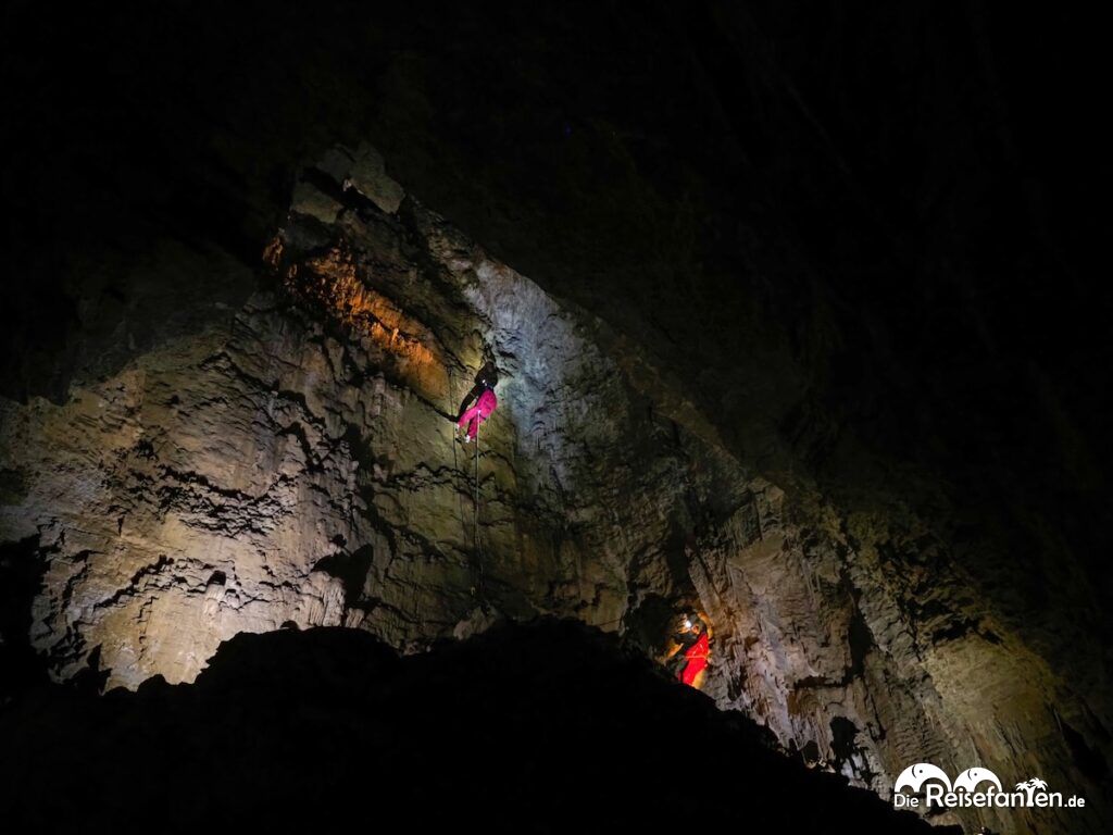 Waitomo Caves in Neuseeland (14)