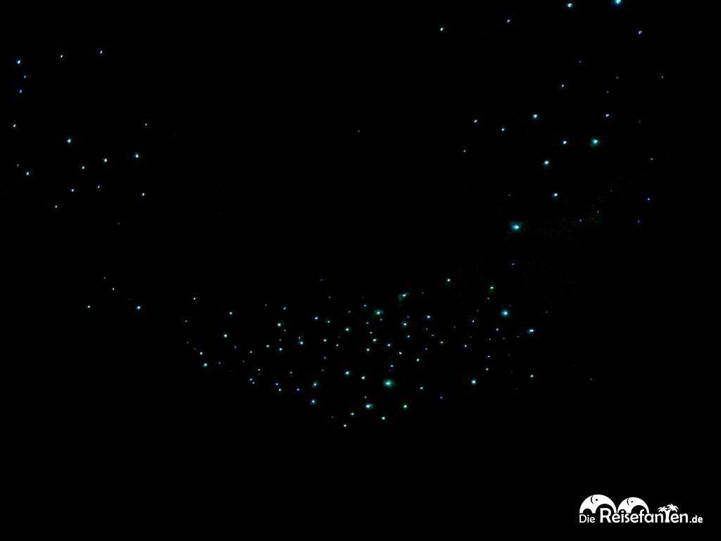 Waitomo Caves in Neuseeland (17)