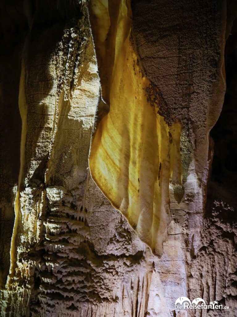 Waitomo Caves in Neuseeland (7)