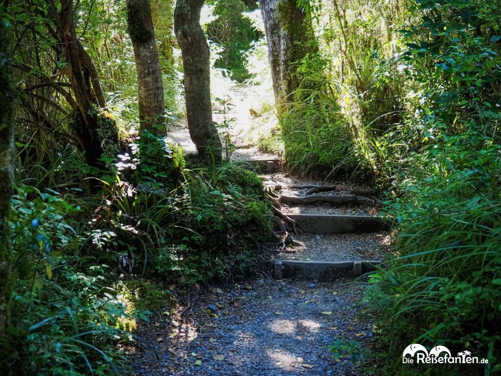 taranaki falls und lower tama lake unsere alternative zum gesperrten tongariro a 17