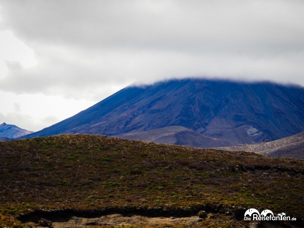 taranaki falls und lower tama lake unsere alternative zum gesperrten tongariro a 4