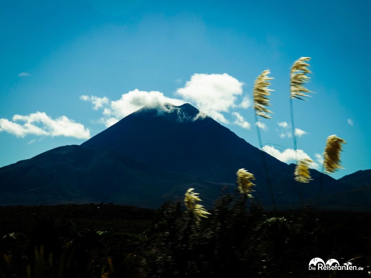 Taranaki Falls und Lower Tama Lake: Unsere Alternative zum gesperrten Tongariro Alpine Crossing 7