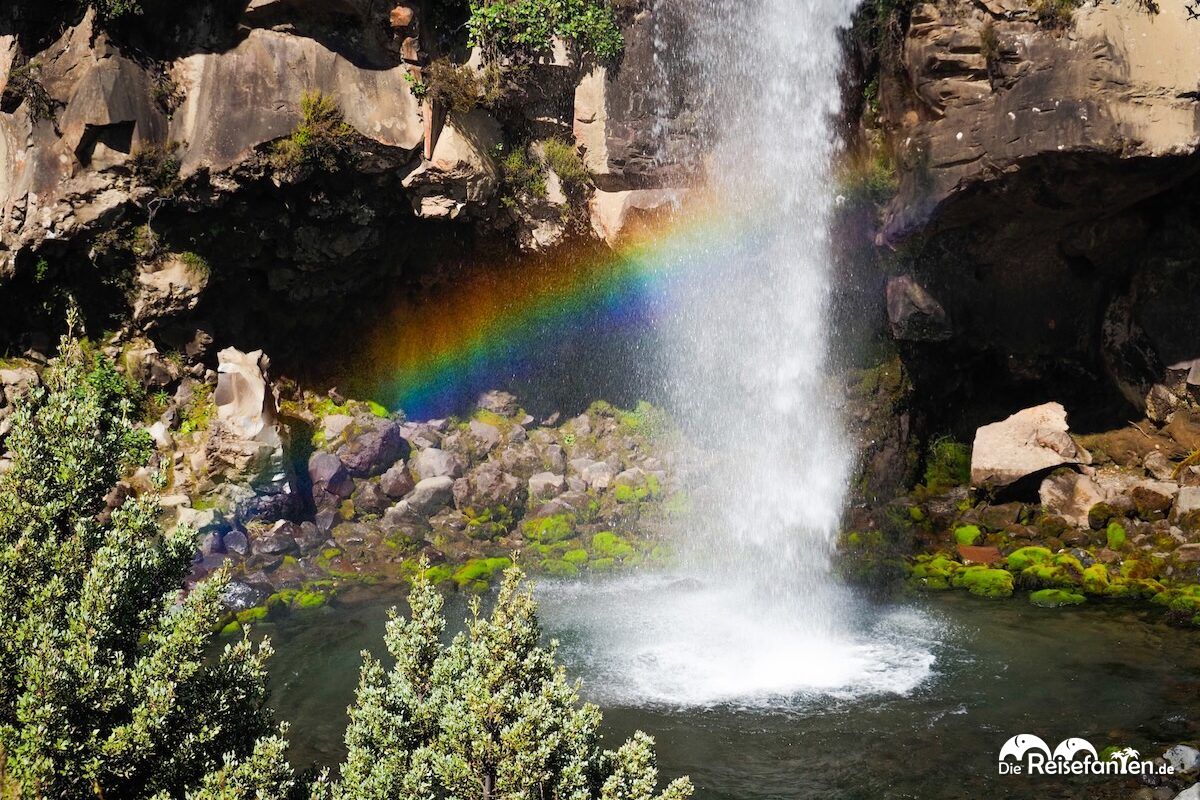 taranaki falls und lower tama lake unsere alternative zum gesperrten tongariro alpine crossing featured