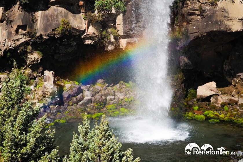taranaki falls und lower tama lake unsere alternative zum gesperrten tongariro alpine crossing featured