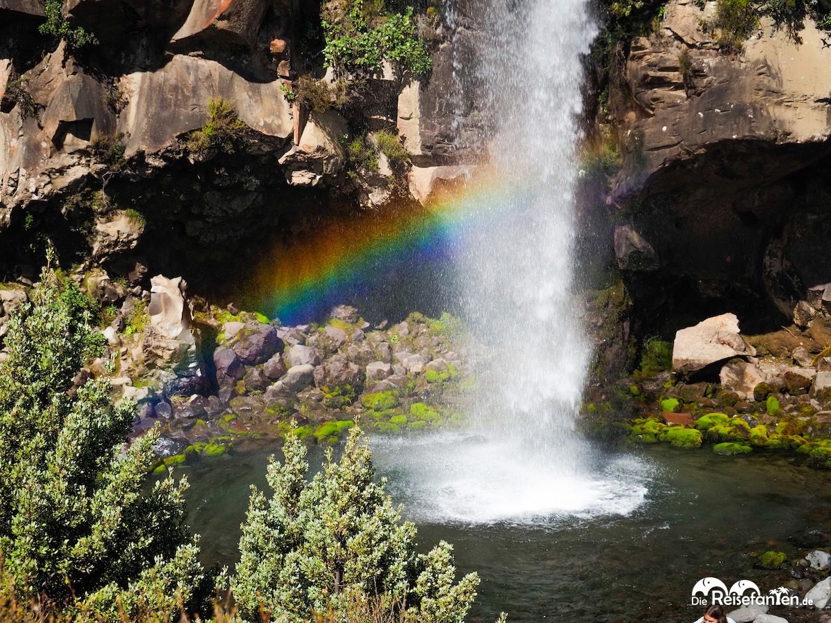 taranaki falls und lower tama lake unsere alternative zum gesperrten tongariro alpine crossing featured