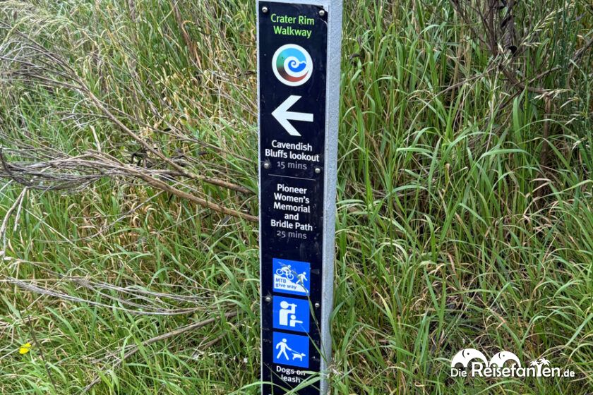 Christchurch Gondola (10)