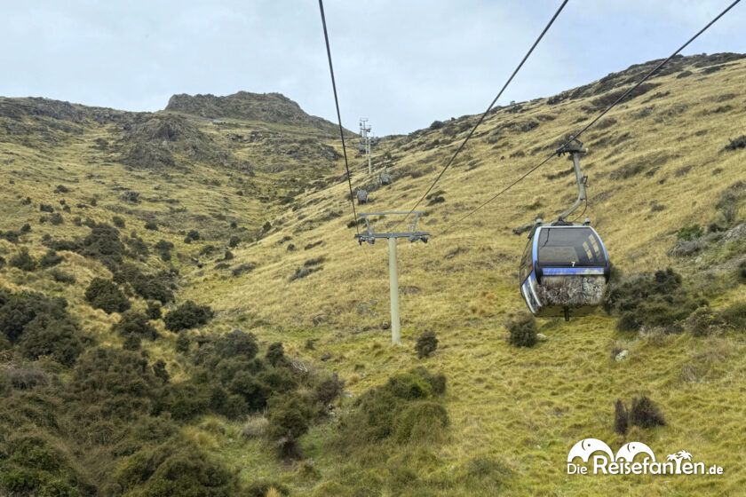 Christchurch Gondola (17)