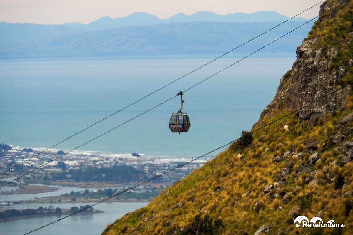 Christchurch Gondola (18)