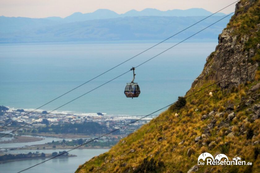Christchurch Gondola (18)
