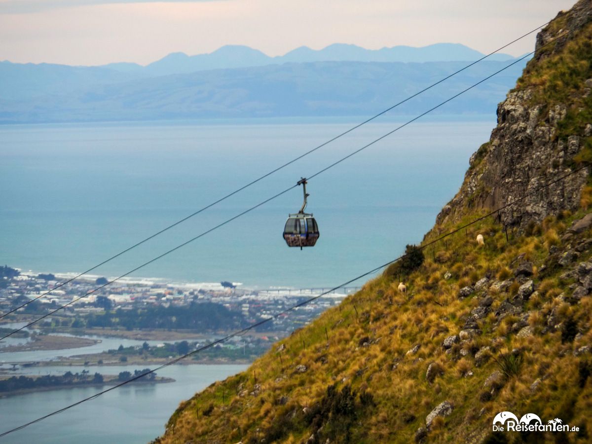 Christchurch Gondola (18)