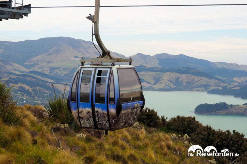 Christchurch Gondola (19)