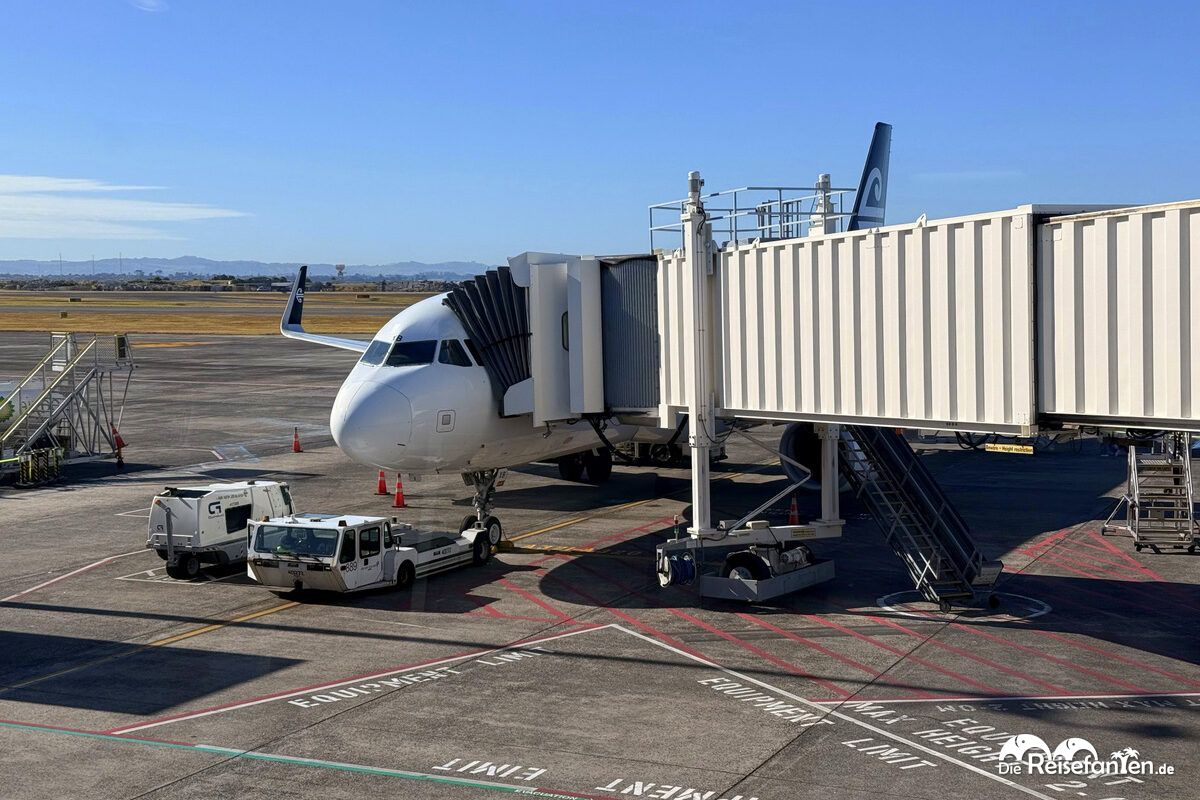 Flug Auckland Christchurch (1)