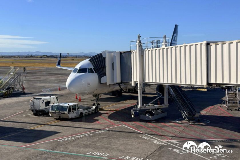 Flug Auckland Christchurch (1)