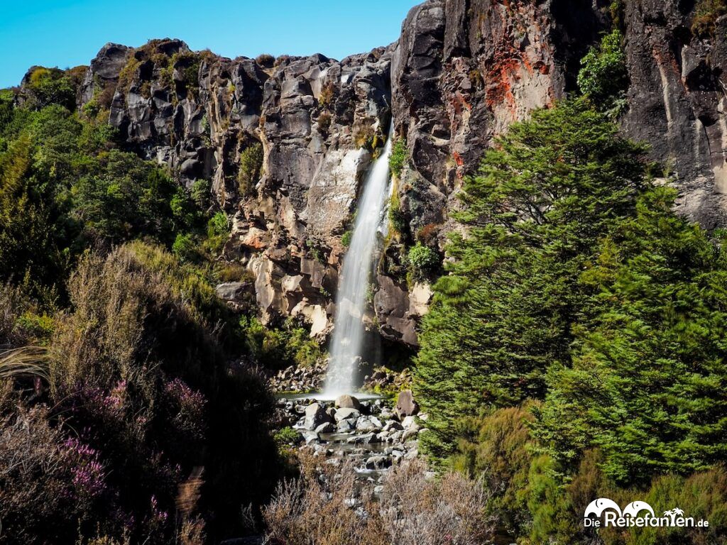 Taranaki Falls und Lower Tama Lake (15)