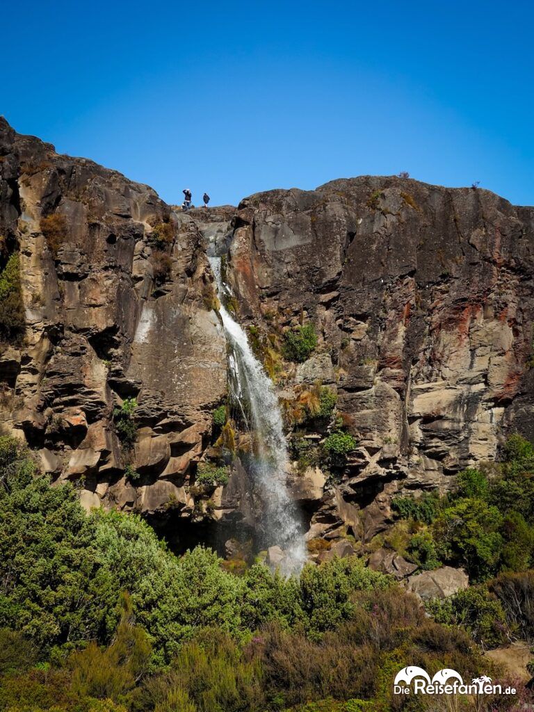 Taranaki Falls und Lower Tama Lake (19)