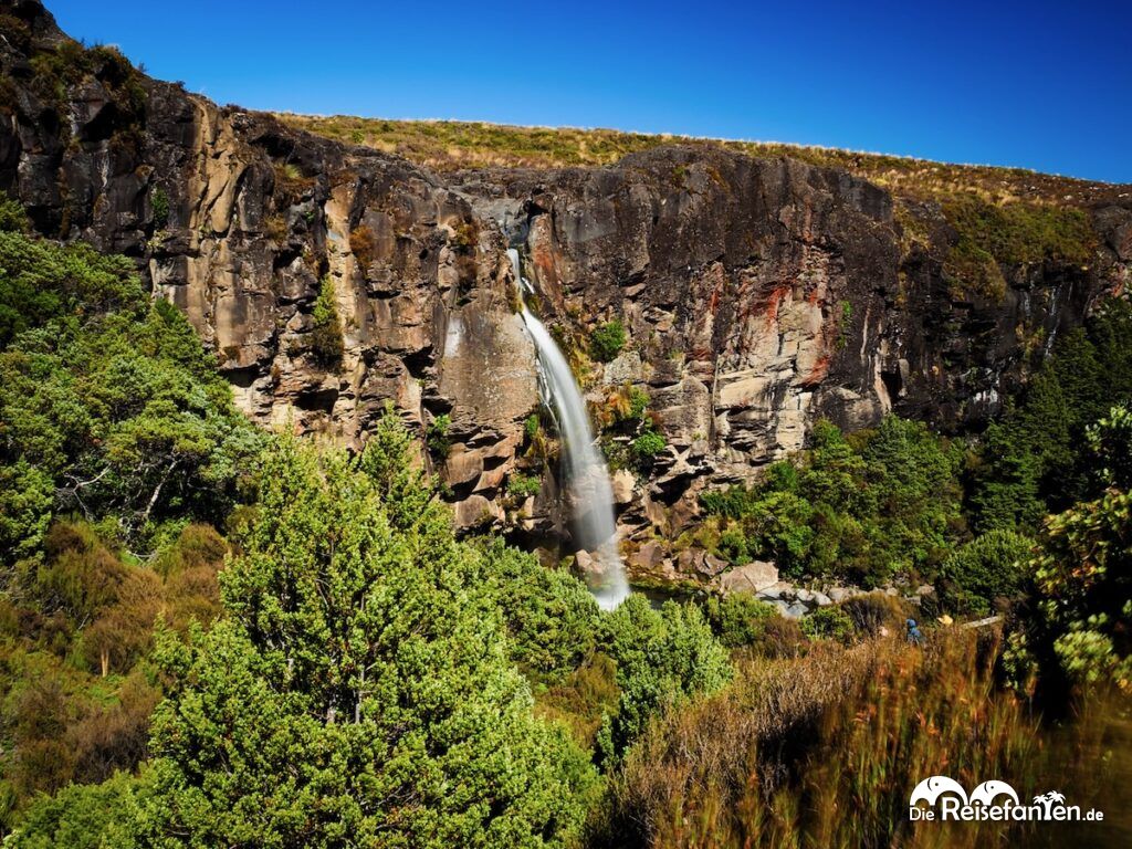 Taranaki Falls und Lower Tama Lake (20)