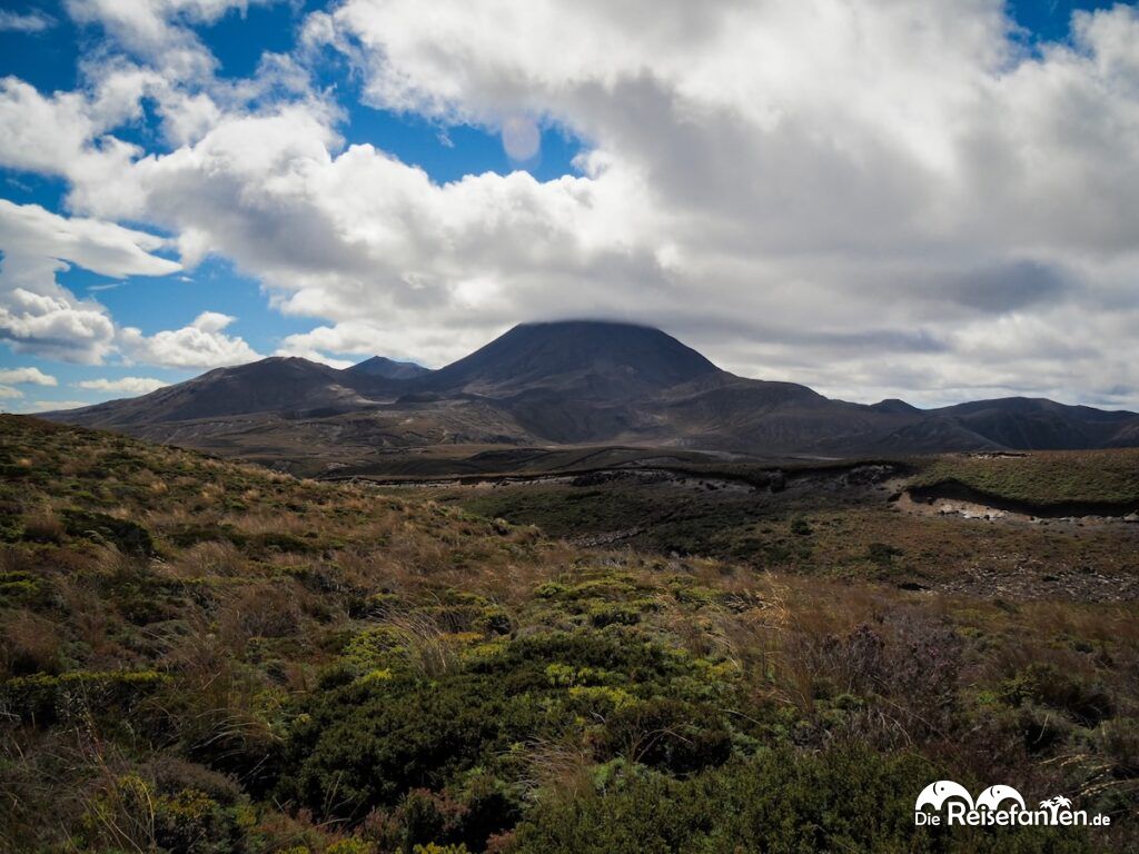 Taranaki Falls und Lower Tama Lake (22)