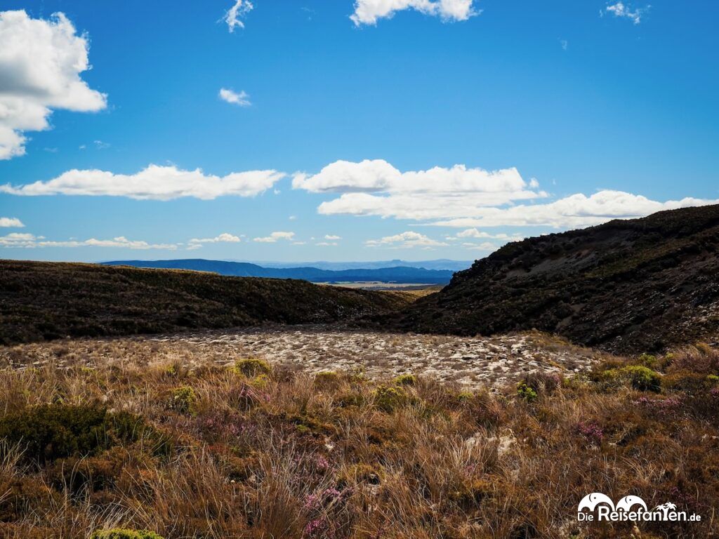 Taranaki Falls und Lower Tama Lake (29)