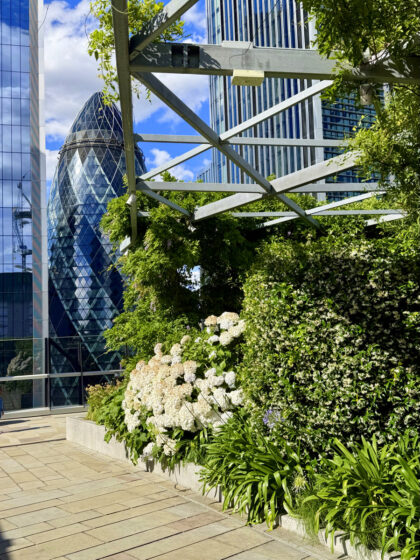 The Garden at 120 in London (2)