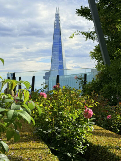 The Garden at 120 in London (8)