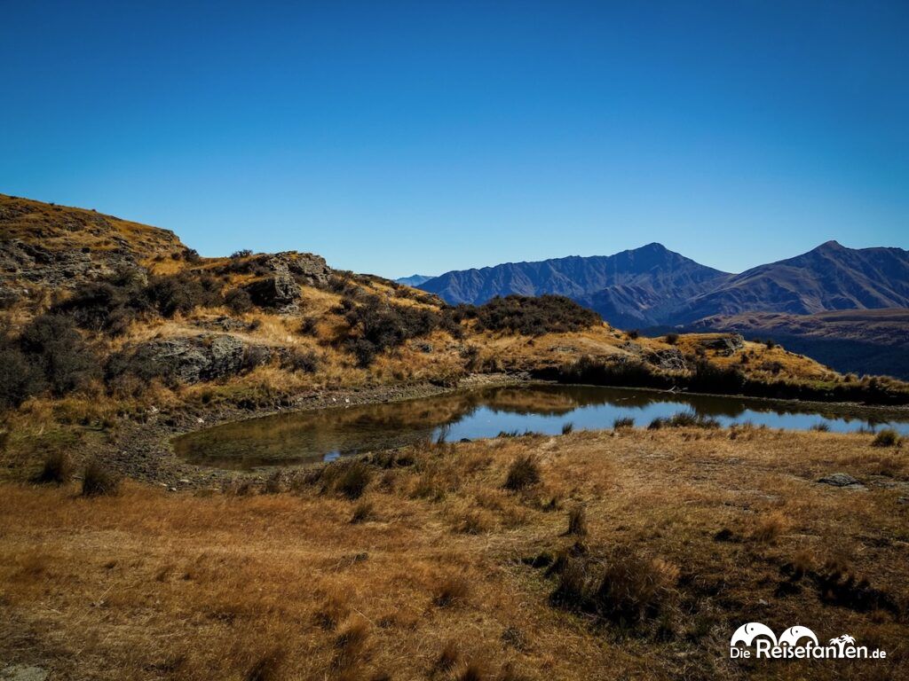 Deer Park Heights in Queenstown Safari, Aussicht und ganz viel Mittelerde (16)