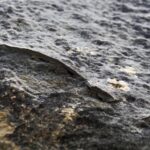 Ein Spaziergang zwischen heiligen Felsen (19)