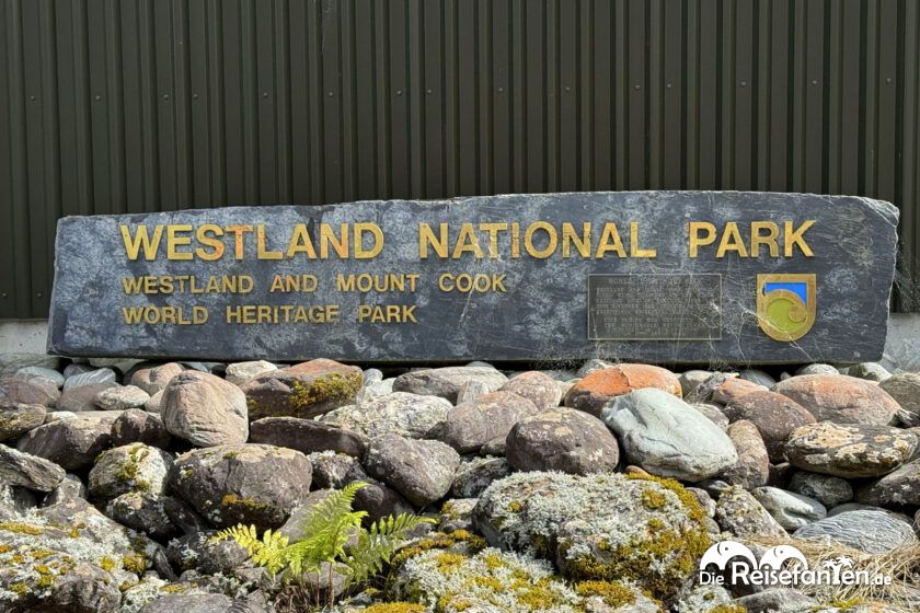 Franz Josef Glacier (11)