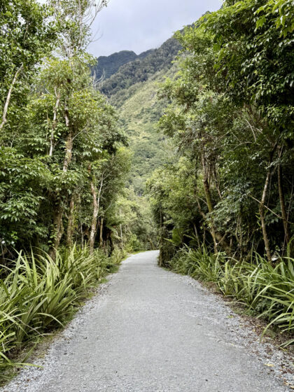 Franz Josef Glacier (2)