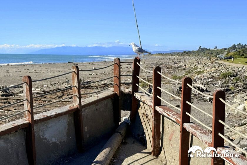 Hokitika (13)