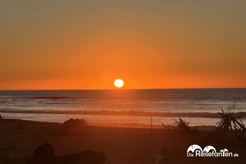 Hokitika (15)