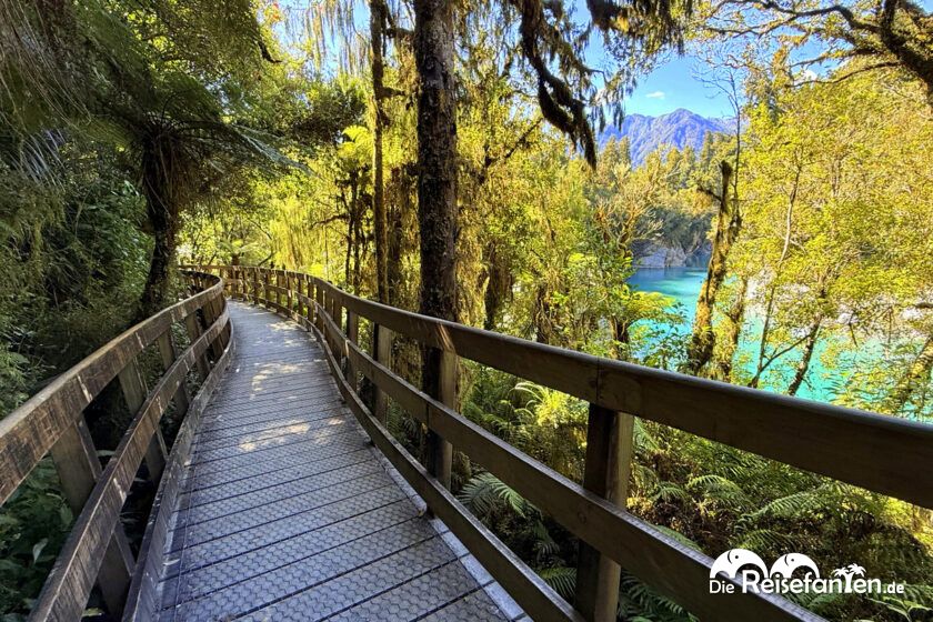 Hokitika Gorge (4)
