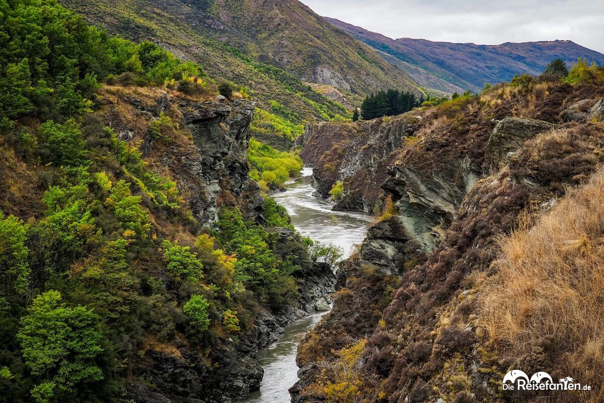 Kawarau Gorge Suspension Bridge Hoch über dem Anduin (1)